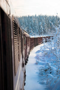 View of train by trees during winter