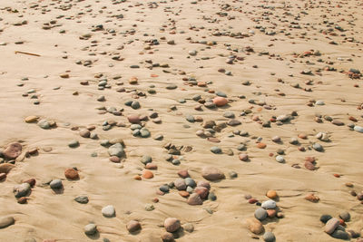 A beautiful sand patterns at the beach of baltic sea