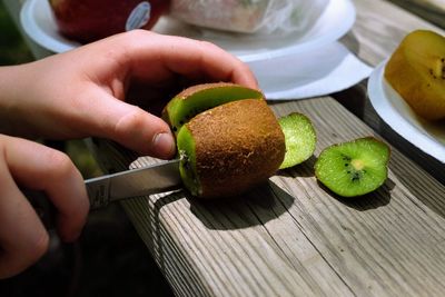 Close-up of hand holding fruits