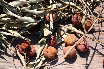 High angle view of lychees on table