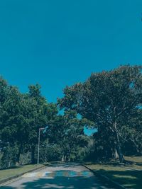 Road amidst trees against clear blue sky