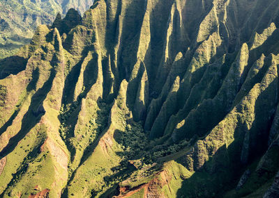 High angle view of trees on land