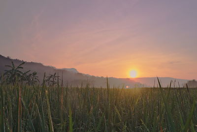 Scenic view of landscape against sky during sunset