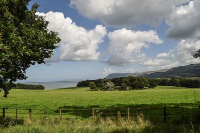 Scenic view of field against sky