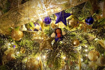 Close-up of illuminated christmas tree at night