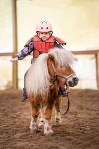 Horse standing on field