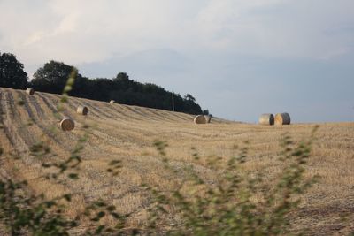 Hay bales on field against sky