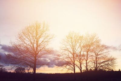 Bare trees on landscape at sunset