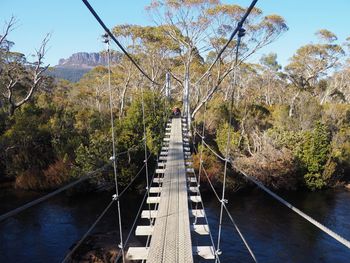 Footbridge amidst plants and trees against sky