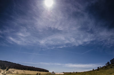 Low angle view of silhouette trees against sky