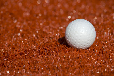 Golf ball on ground