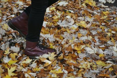 Low section of person standing on yellow maple leaves