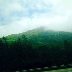 Scenic view of forest against sky