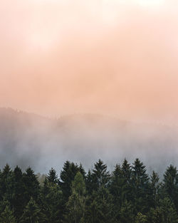 Trees on mountain against sky during sunset