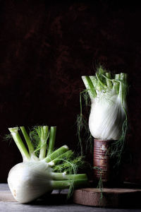 Close-up of food on plant against black background