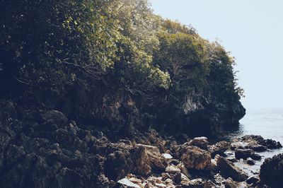 View of rock formation on beach against sky