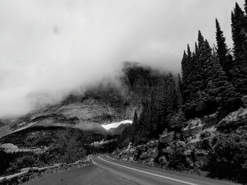 Road by trees against sky during winter