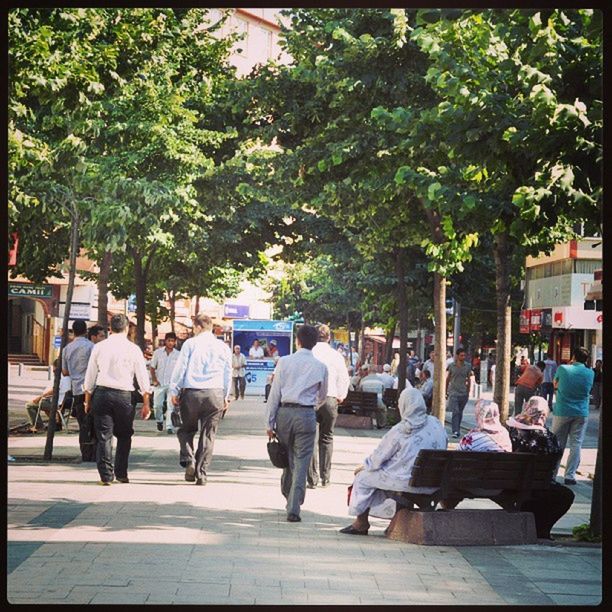 tree, men, person, transportation, walking, lifestyles, transfer print, large group of people, mode of transport, street, city, city life, bench, leisure activity, day, building exterior, group of people, medium group of people, built structure