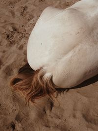 Close-up of sandy beach