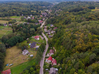 High angle view of trees and buildings in city