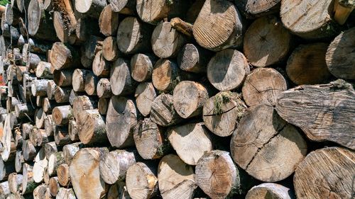 Full frame shot of logs in forest