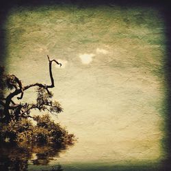 auto post production filter