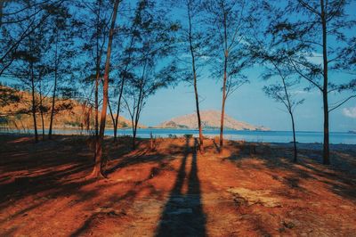 Narrow pathway along calm sea against clear sky