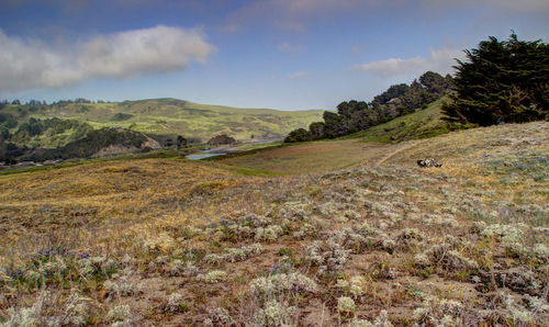 Scenic view of russian river valley against sky