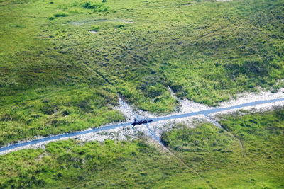 Public transport in the okavango delta