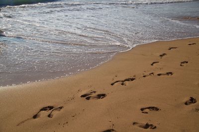 Close-up of sand on beach