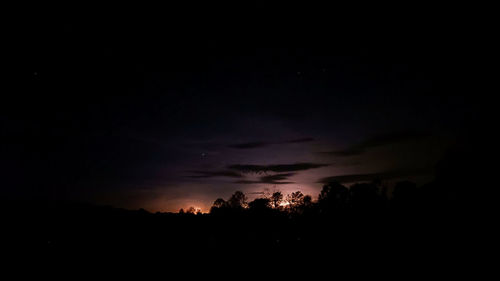 Low angle view of silhouette trees against sky at night