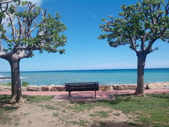 Bench by tree on beach against sky