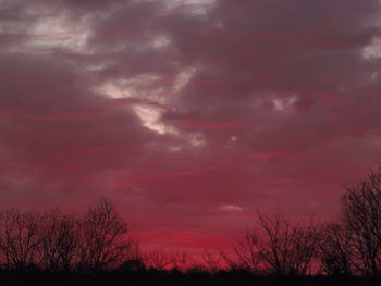 Silhouette trees against sky during sunset