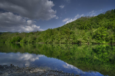 Scenic view of lake by trees against sky