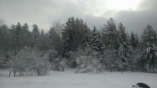 Scenic view of snow covered landscape