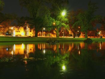 Reflection of trees in water at night