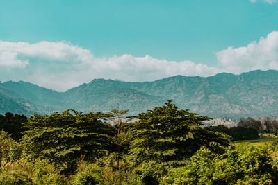 Scenic view of mountains and foliage against sky
