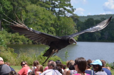 Black vulture flying over people against lake