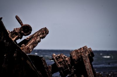 Close-up of rusty abandoned on wood against sky