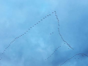 Low angle view of birds flying in sky