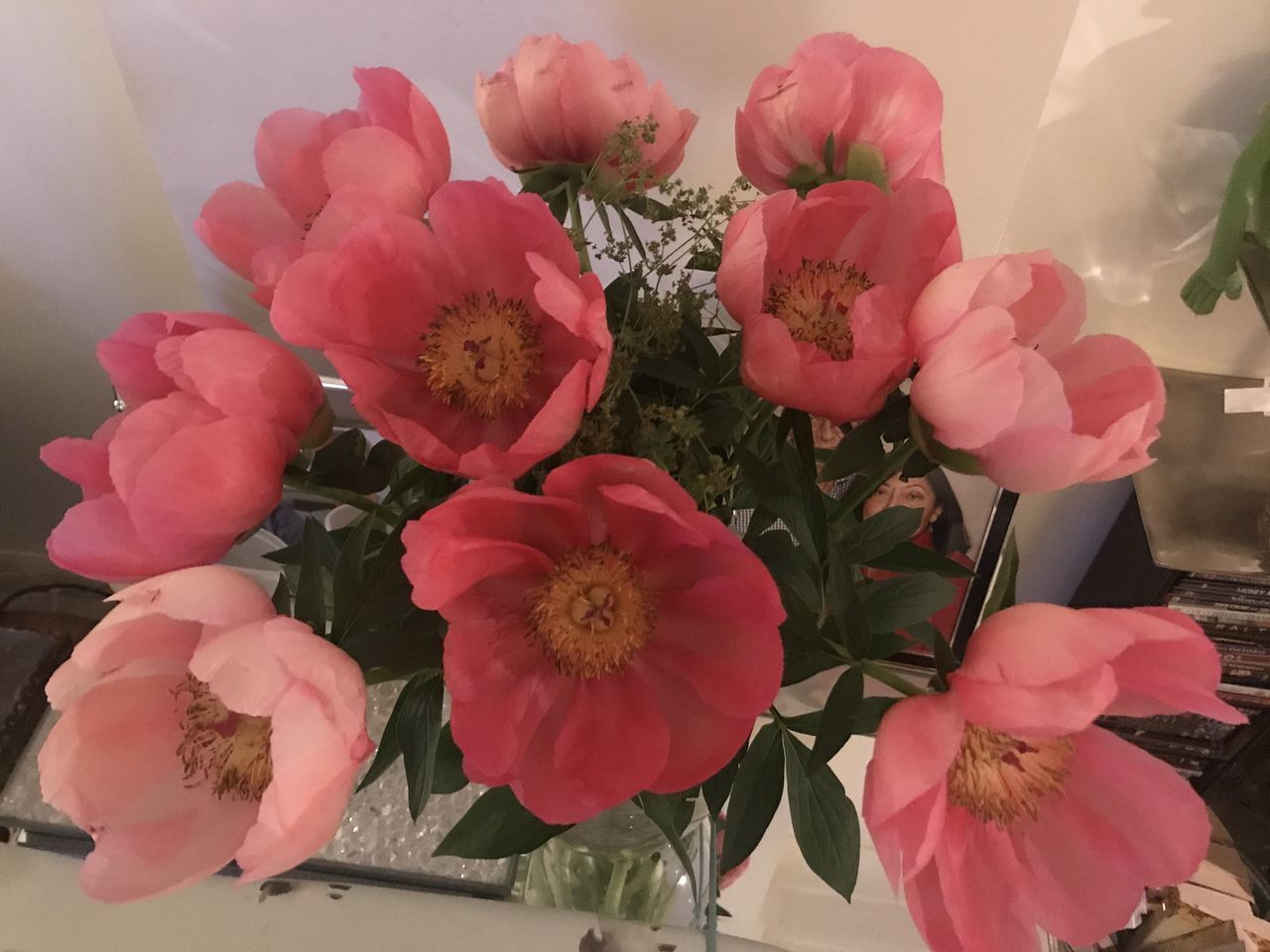 CLOSE-UP OF PINK FLOWERING PLANTS