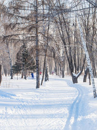 Ski track in the winter park. the concept of nature, healthy lifestyle, vertical frame.