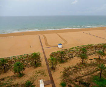 High angle view of palm trees on beach