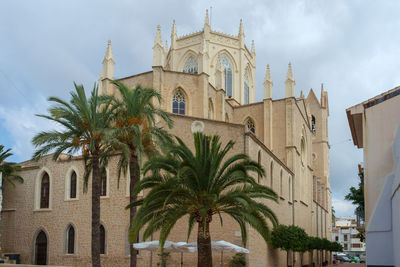 Low angle view of palm trees and buildings against sky