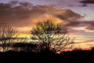 Silhouette of bare tree against cloudy sky