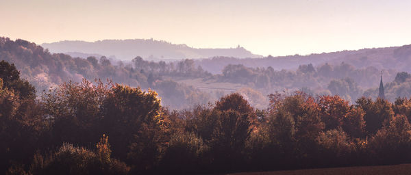 Scenic view of forest against sky during autumn