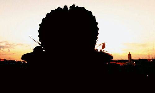 Silhouette of woman at sunset