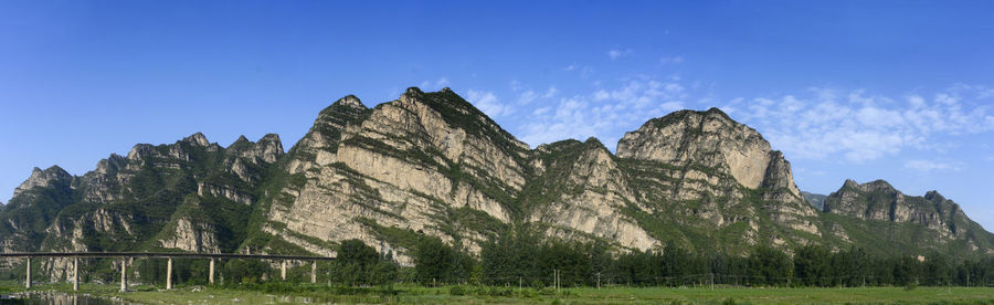 Low angle view of trees against clear blue sky