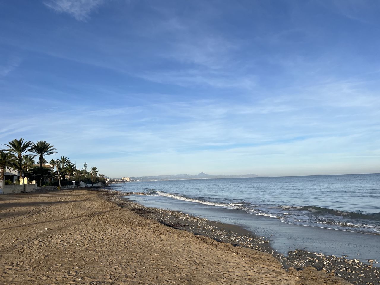Viva #Denia Sea Beach Land Water Sky Body Of Water Sand Horizon Shore Scenics - Nature Beauty In Nature Nature Ocean Coast Tree Cloud Palm Tree Tranquility Tropical Climate Plant