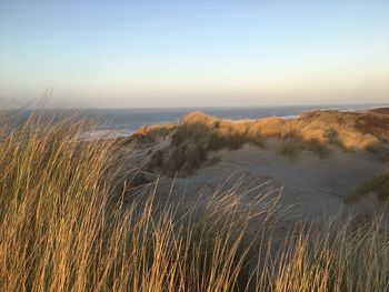 Scenic view of sea against clear sky